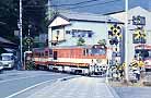 A mini train arriving in Senzu terminal