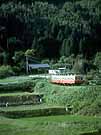 A two-car train is rolling down in a lush landscape of rural surroundings