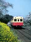 Passing through Tsukizaki on a warm spring day