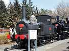 Steam locomotive #110