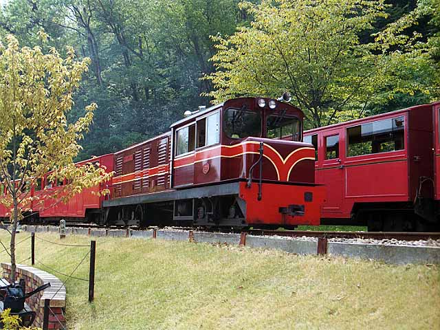 The engine, Bo-Bo, first worked for the Romney, Hythe and Dymchurch Railway 