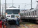 Series 185 in use for the Odoriko Limited Express service