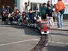 Another miniature train attracting visitors is a model of the series 253 Narita Express